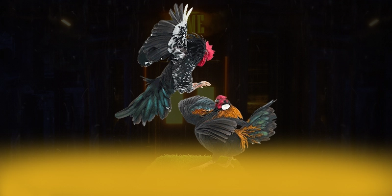 CONGA6789 – Cổng game bài phổ biến nhất, được cộng đồng game thủ tin tưởng.