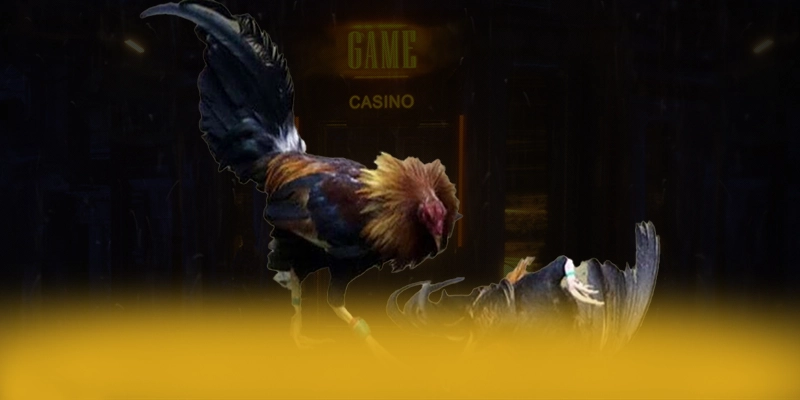 
Khám phá hành trình của DAGA88 - Trang game uy tín số 1 tại Việt Nam
