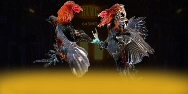 N88 - Cổng game bài uy tín 2025 N88 - Cổng game bài uy tín 2025