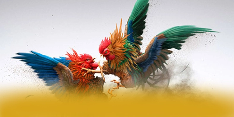 DAGA88 - Nhà cái được cộng đồng tin tưởng được giới chuyên môn đánh giá cao – Khám phá cơ chế bảo mật hiện đại tại DAGA88