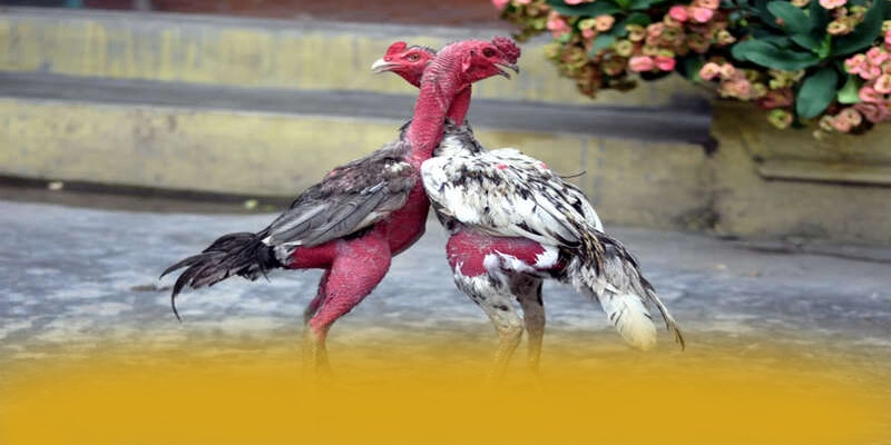 tài xỉu online - Sân chơi phổ biến hàng đầu trong giới game thủ