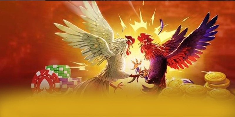 CONGA6789 - Cổng game bài được đánh giá cao về độ tin cậy được đánh giá cao – Tìm hiểu về độ tin cậy và bảo mật tại CONGA6789